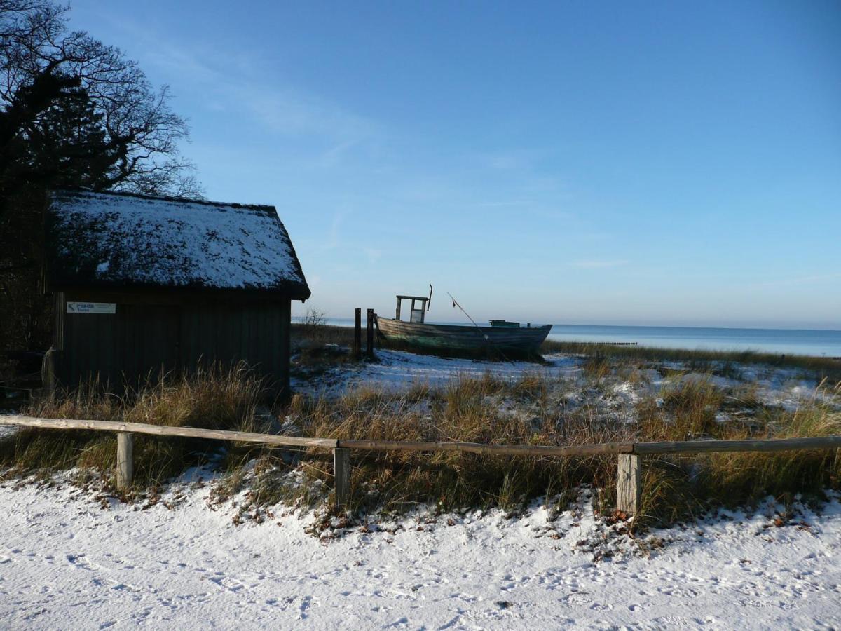 Residenz Am Strand Wohnung 2-36 Zingst Buitenkant foto